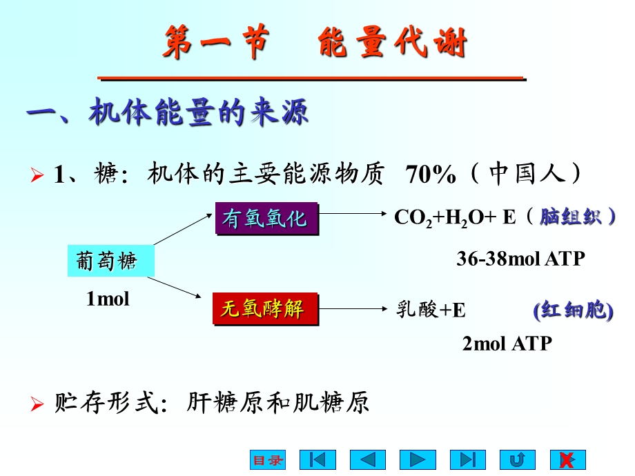 生理学能量代谢.ppt_第3页