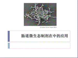 肠道微生态制剂在ICU中的应用课件.ppt