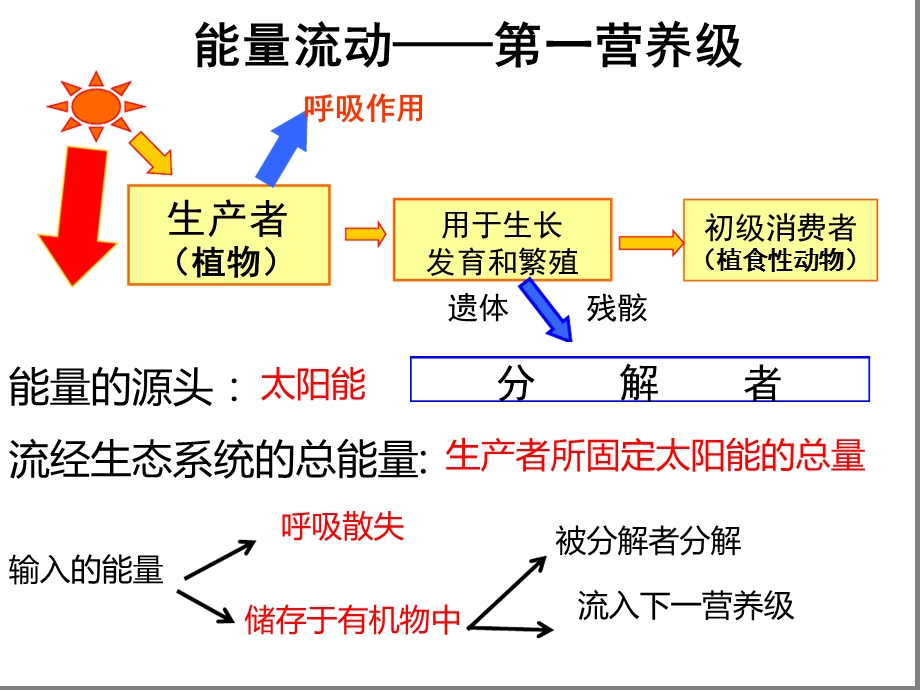 生态系统的能量流动一轮复习课件.ppt_第3页