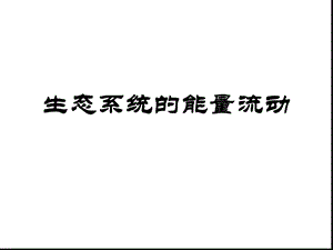 生态系统的能量流动一轮复习课件.ppt