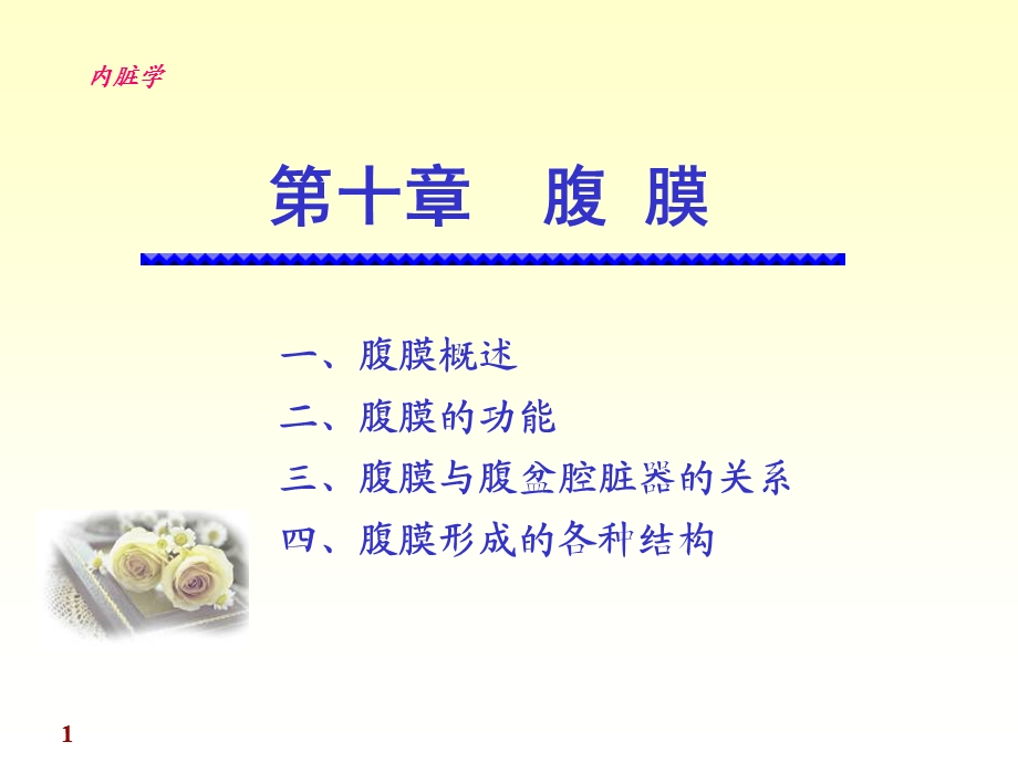 系统解剖学腹膜讲述课件.ppt_第1页