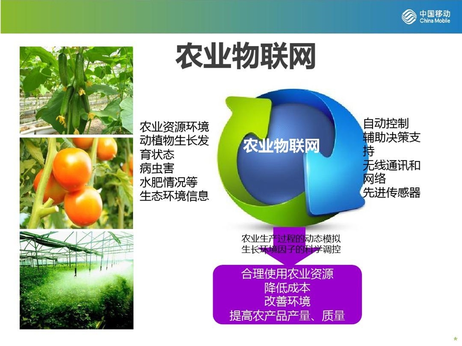 设施农业物联网解决方案课件.ppt_第2页