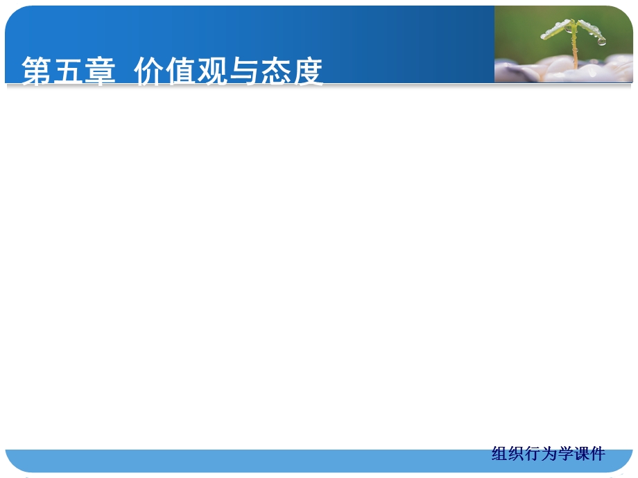 第五章价值观与态度课件.ppt_第1页