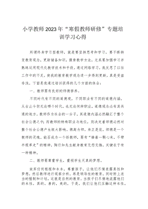 小学教师2023年“寒假教师研修”专题培训学习心得.docx