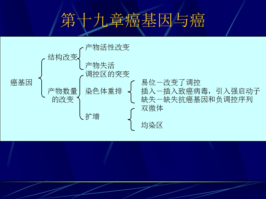 第十九章癌基因与癌课件.ppt_第1页