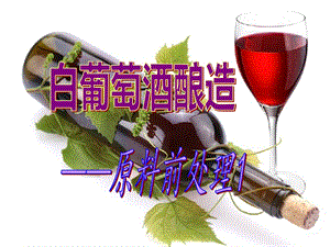 白葡萄酒的酿造课件.ppt