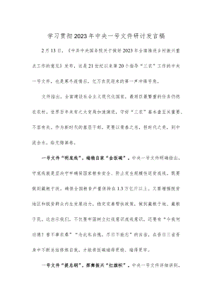 学习贯彻2023年中央一号文件研讨发言稿.docx