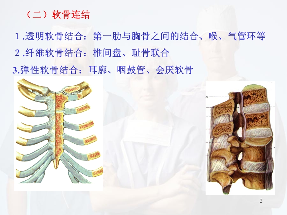 运动解剖学(关节)课件.ppt_第2页