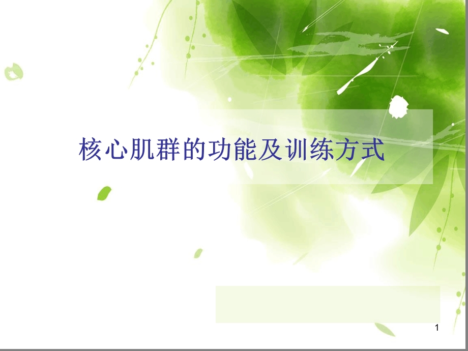 核心肌群的功能及训练方式ppt课件.ppt_第1页