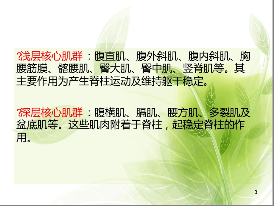 核心肌群的功能及训练方式ppt课件.ppt_第3页