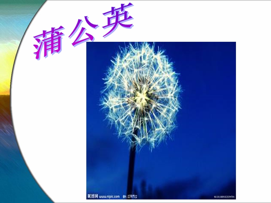 科学-种子旅行记ppt课件.ppt_第3页