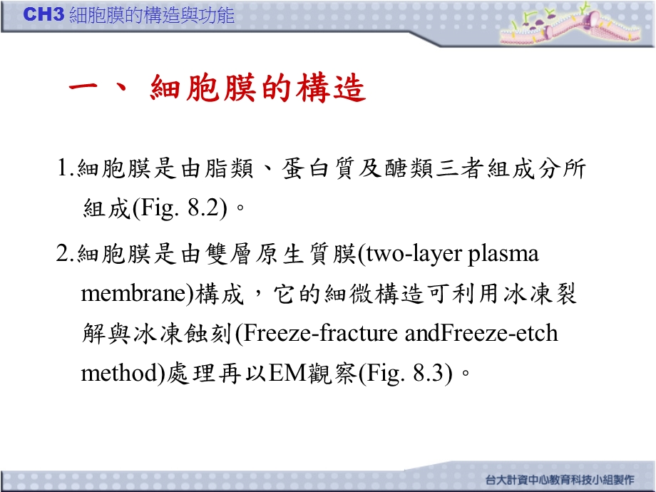 细胞膜的构造与功能MembraneStructureandFunction课件.ppt_第2页