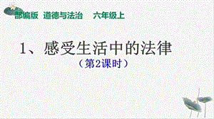 道德与法治《感受生活中的法律》优质ppt课件部编版.ppt