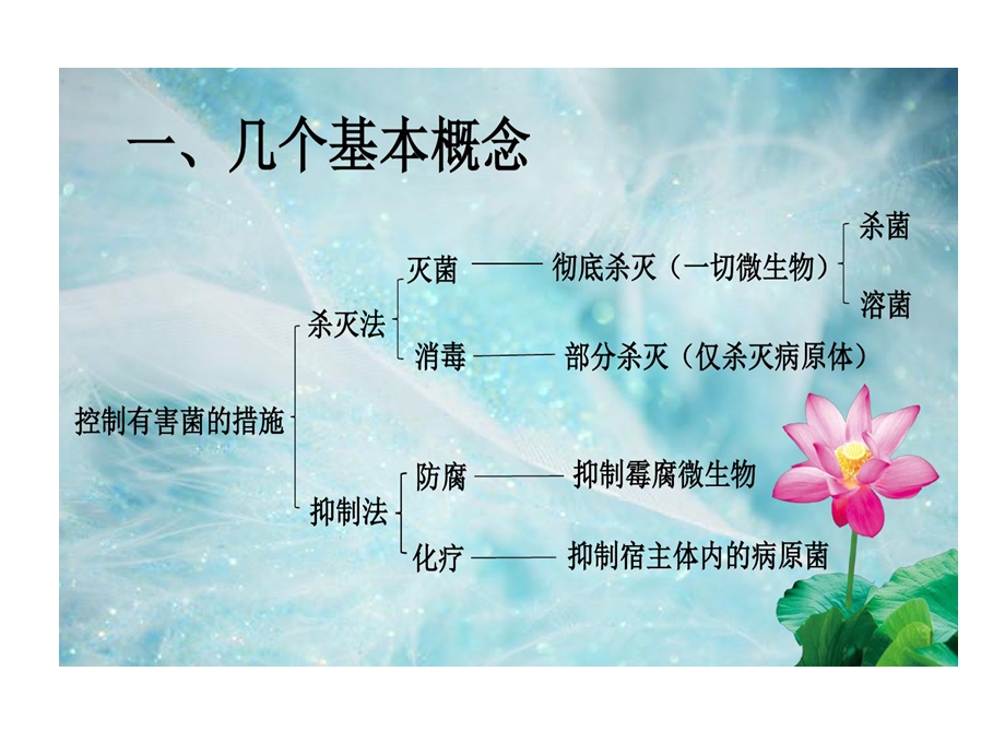 有害微生物控制课件.ppt_第3页