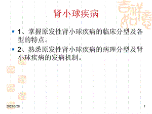 肾小球疾病(教学)讲课教案课件.ppt