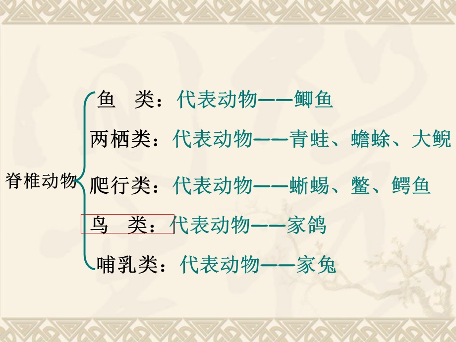 生物八年级复习上册汇总课件.ppt_第3页