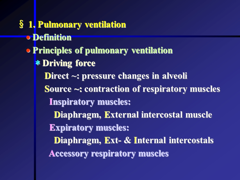 生理学之呼吸系统.ppt_第3页