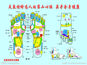 泡脚的好处课件.ppt