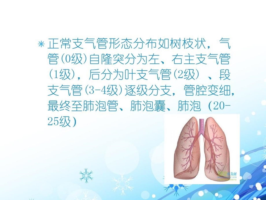 支气管扩张病人的护理完整版课件.ppt_第2页