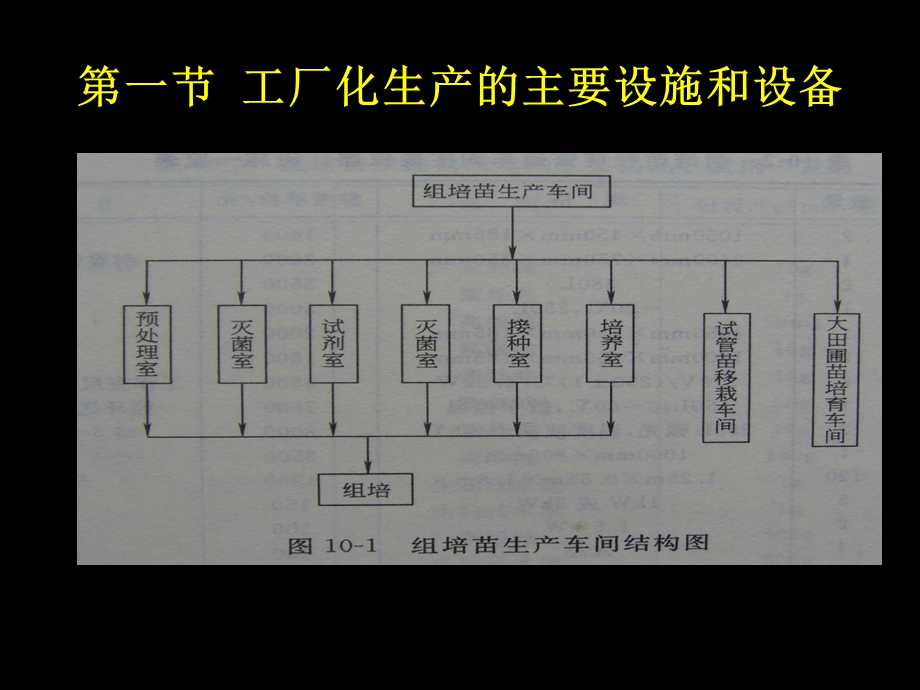 第十章组培苗工厂化生产的经营与管课件.ppt_第3页