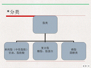 社体营养脂肪PPT精选课件.pptx