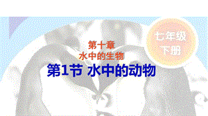 苏科版初中生物七年级下册水中的动物ppt课件.ppt