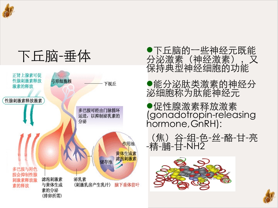 激素测定与妇科内分泌ppt课件.ppt_第3页