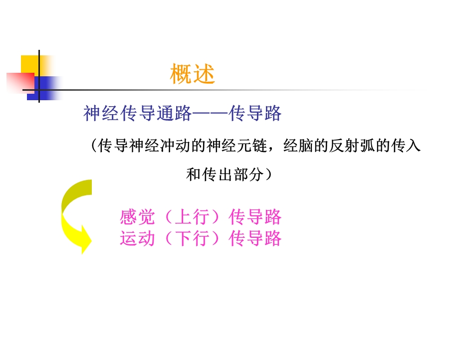 神经系统的传导通路资料课件.ppt_第2页