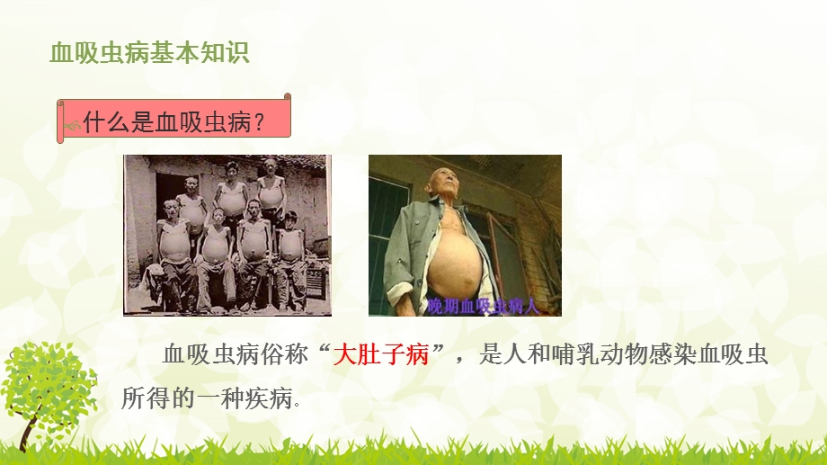 血吸虫病防治知识课件.ppt_第3页