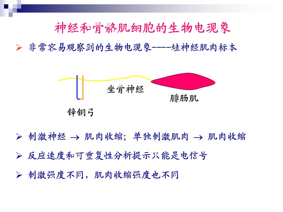 第四章细胞的生物电现象课件.ppt_第2页