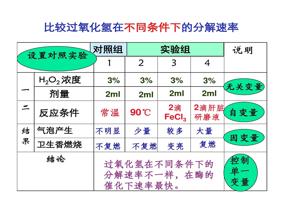 酶相关实验一轮复习课件.ppt_第1页