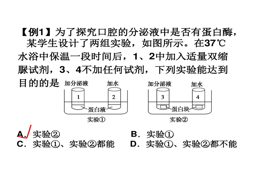 酶相关实验一轮复习课件.ppt_第2页