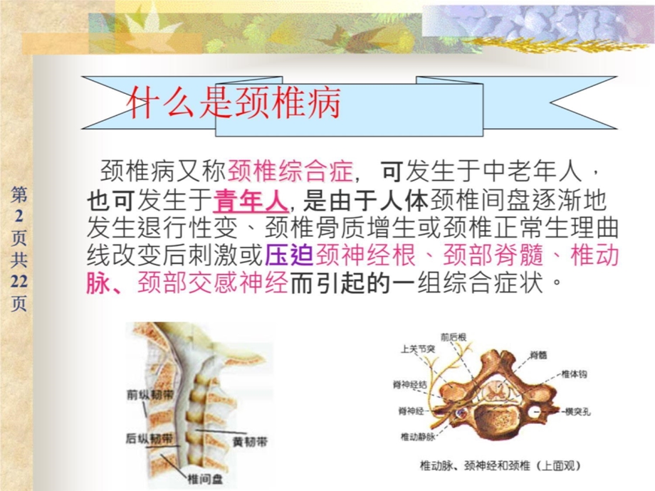 防治颈椎病-课件.ppt_第2页