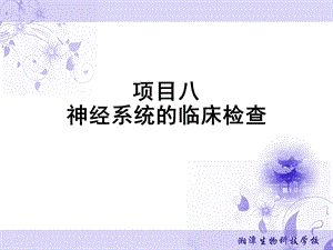 第八章神经系统的临床检查课件.ppt