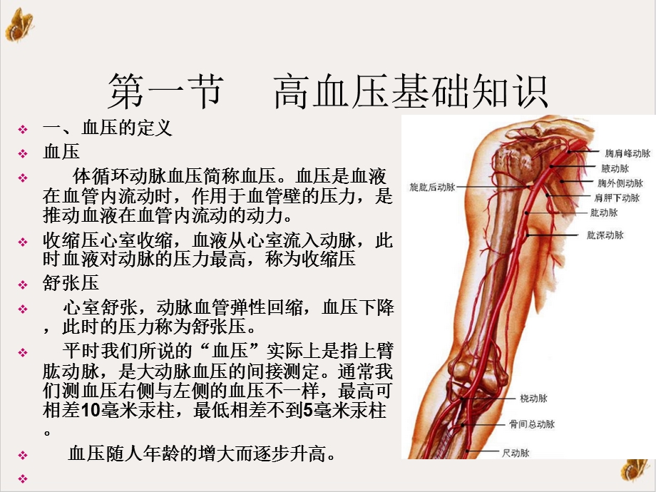 血压计基础知识培训PPT实用版课件.ppt_第3页