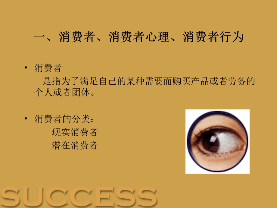 消费者心理与行为课件.ppt_第2页