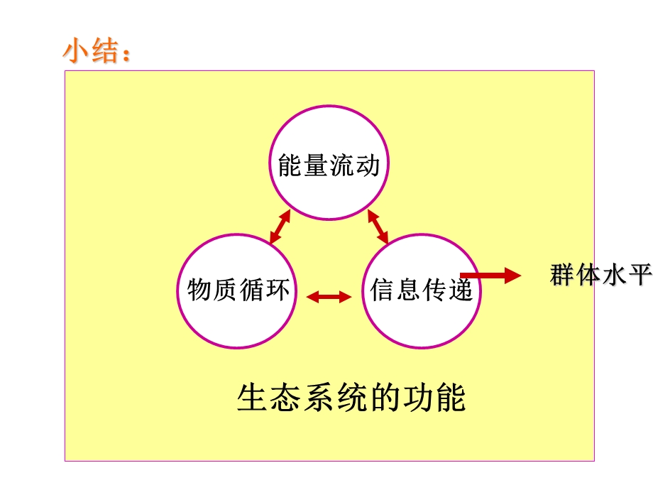 生态系统的功能物质循环信息传递能量流动小结群体水平课件.ppt_第2页