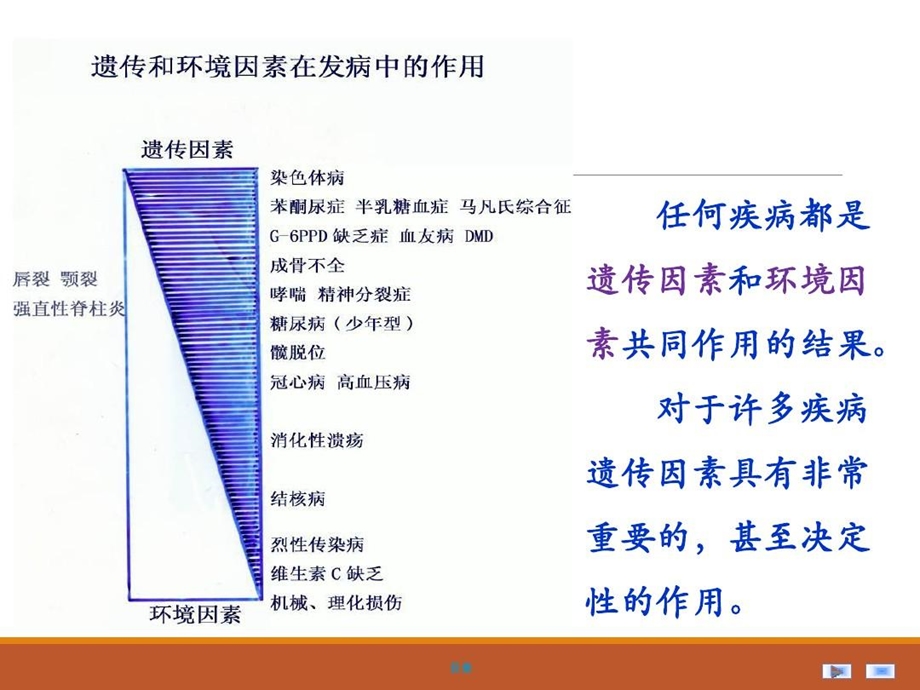 疾病相关基因的检测与克隆课件.ppt_第3页