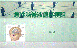 脑室系统与脑脊液循环课件.ppt