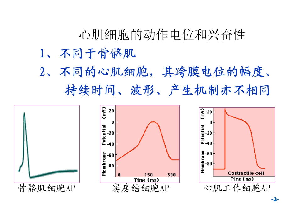 生理学血液循环章.ppt_第3页