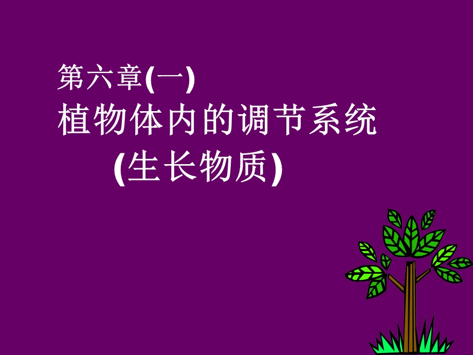 第一二三节-植物体内的调节系统、生长物质课件.ppt_第1页