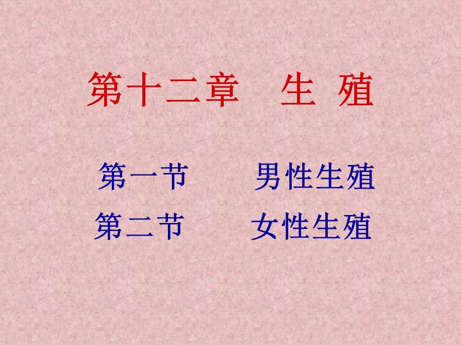 生理学生殖系统.ppt_第1页