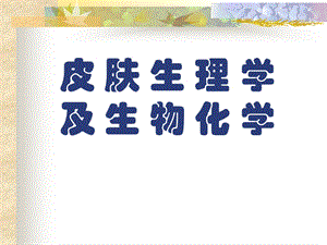 皮肤生理学ppt.ppt