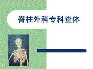 脊柱外科专科查体课件.ppt