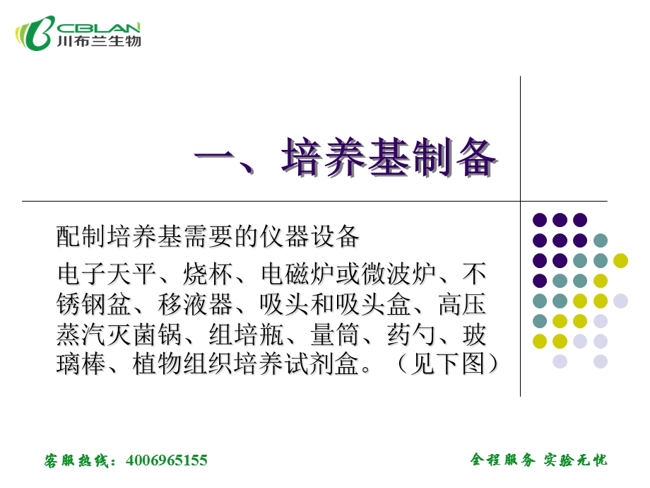 组培指导课件.pptx_第2页