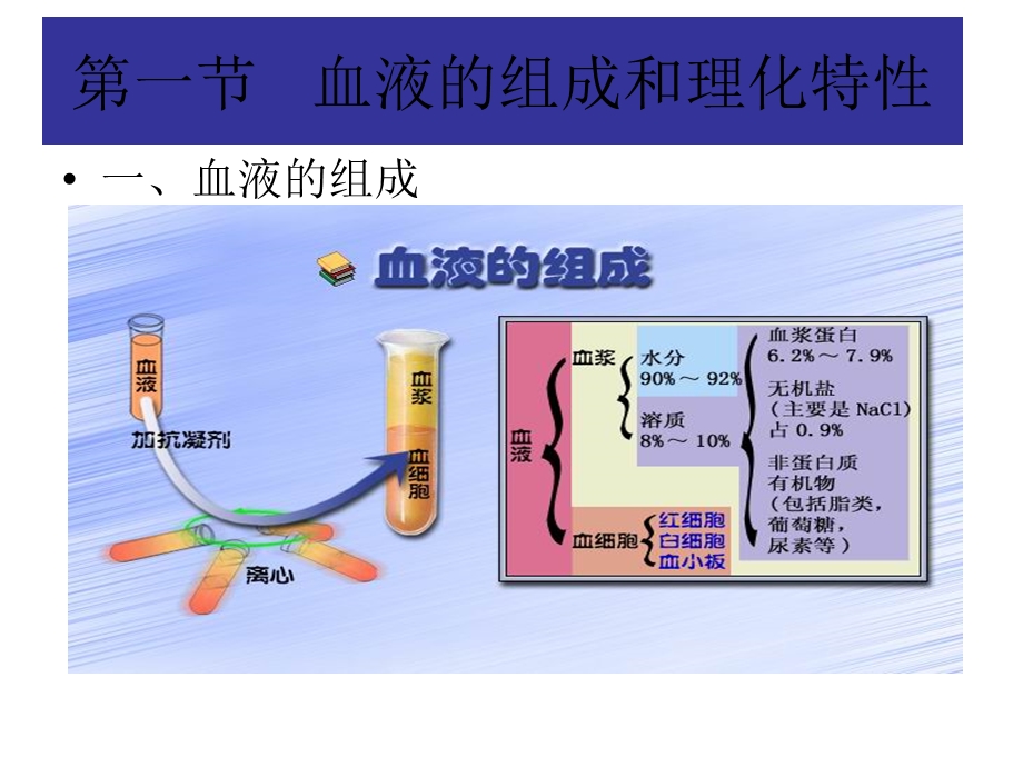 生理学血液.ppt_第2页