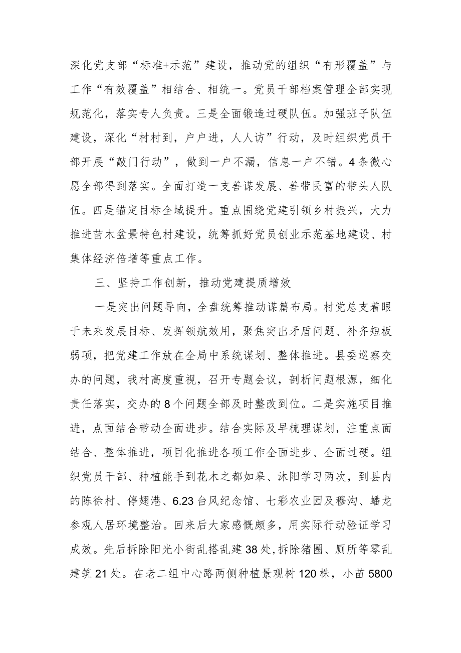 村抓党建工作述职报告.docx_第2页