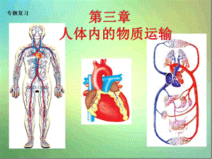 济南版生物七年级下册第三章人体内的物质运输复习ppt课件.ppt