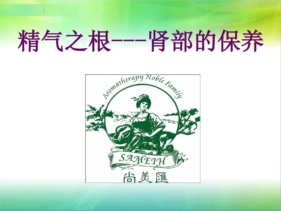 肾部保养1详解课件.ppt_第2页