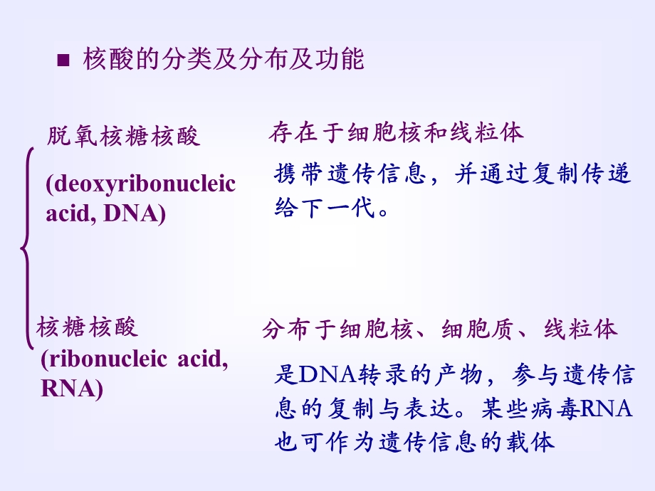 生物化学核酸的结构与功能.ppt_第3页